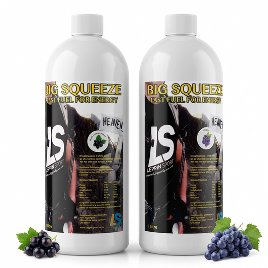 Two white plastic bottles of Leppin Sport Big Squeeze Fast Fuel for Energy, shown side by side on a white background with grape clusters at the base of each bottle.